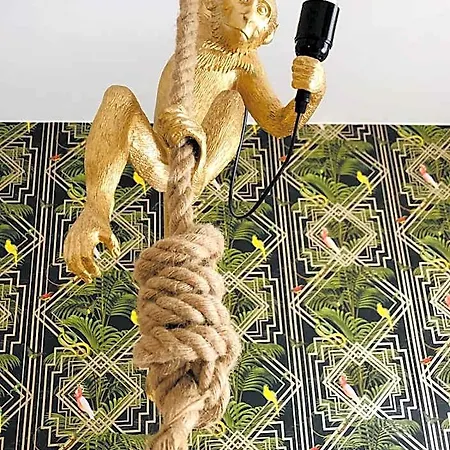 House Of - No Reception Trente